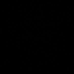 Meet your Posher, Evan